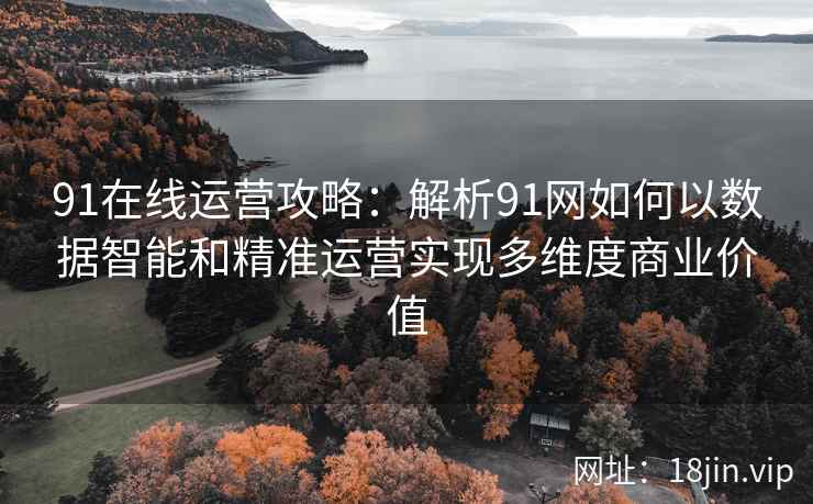 91在线运营攻略：解析91网如何以数据智能和精准运营实现多维度商业价值