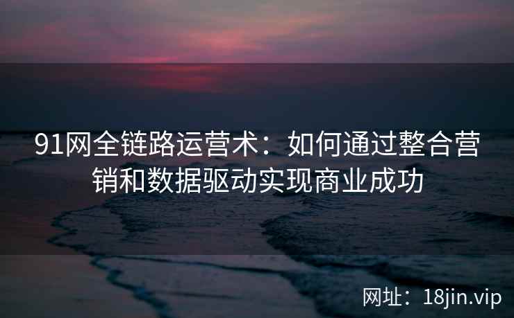 91网全链路运营术：如何通过整合营销和数据驱动实现商业成功