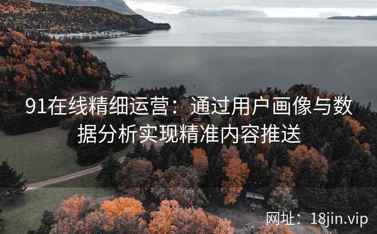 91在线精细运营：通过用户画像与数据分析实现精准内容推送