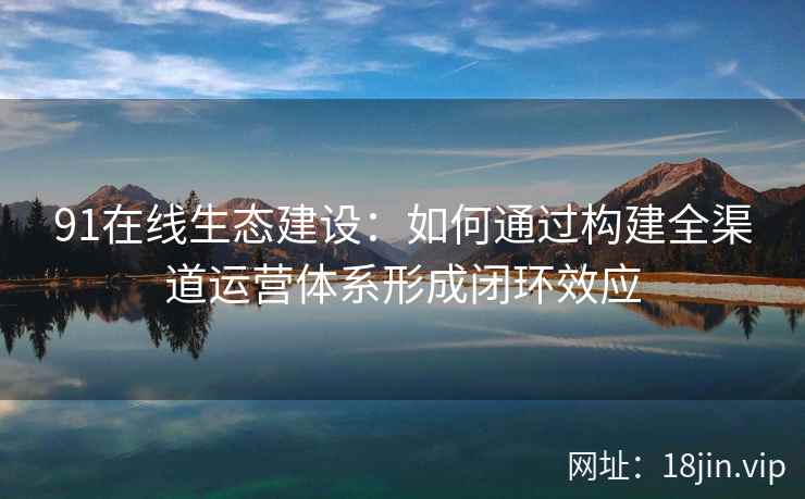 91在线生态建设：如何通过构建全渠道运营体系形成闭环效应