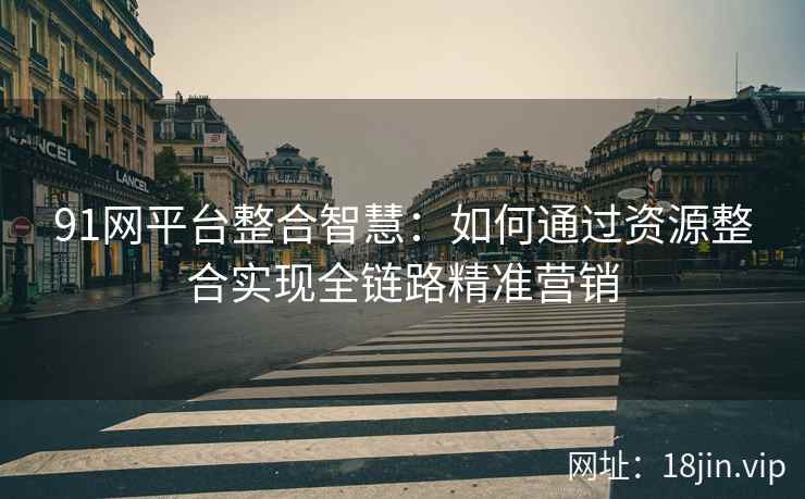 91网平台整合智慧：如何通过资源整合实现全链路精准营销