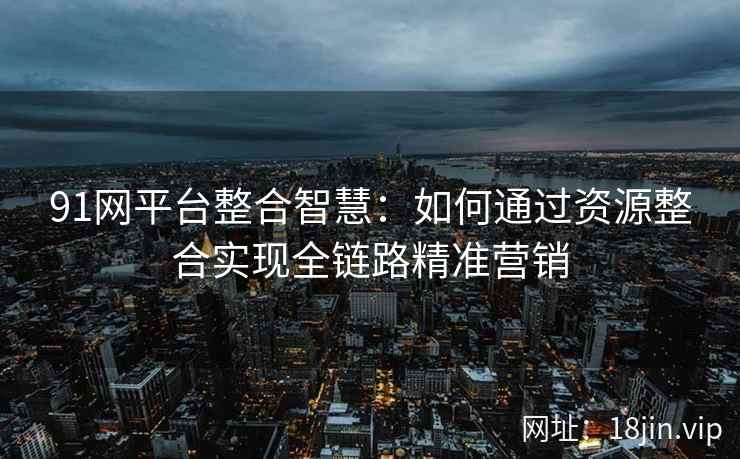 91网平台整合智慧：如何通过资源整合实现全链路精准营销