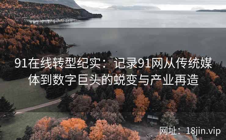 91在线转型纪实：记录91网从传统媒体到数字巨头的蜕变与产业再造
