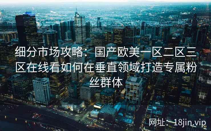 细分市场攻略：国产欧美一区二区三区在线看如何在垂直领域打造专属粉丝群体