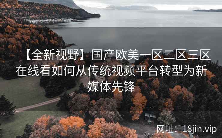 【全新视野】国产欧美一区二区三区在线看如何从传统视频平台转型为新媒体先锋