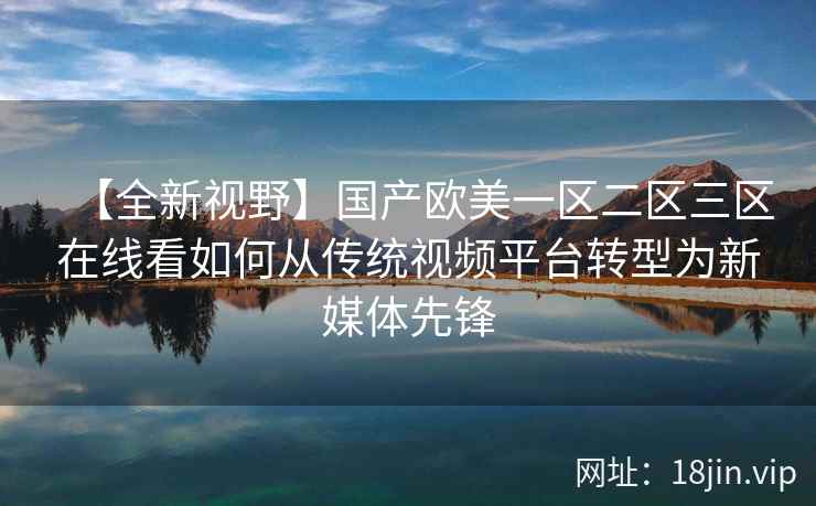 【全新视野】国产欧美一区二区三区在线看如何从传统视频平台转型为新媒体先锋